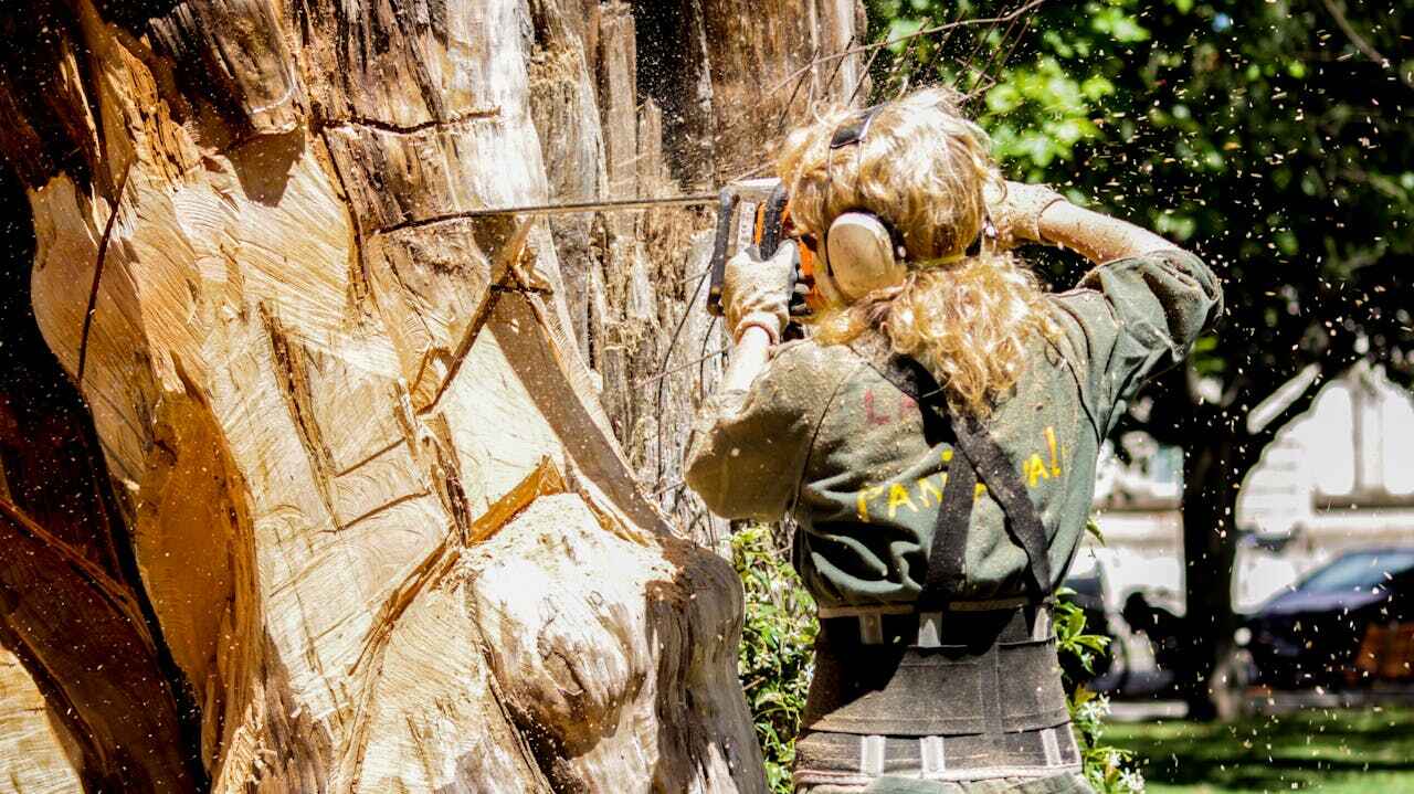 Best Tree Cutting Near Me  in Weldon Spring, MO